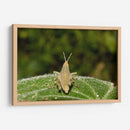 Minimundus07 - Jiván | Cuadro decorativo de Canvas Lab