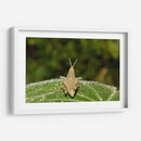 Minimundus07 - Jiván | Cuadro decorativo de Canvas Lab