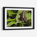 Minimundus08 - Jiván | Cuadro decorativo de Canvas Lab