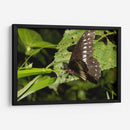 Minimundus08 - Jiván | Cuadro decorativo de Canvas Lab