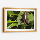 Minimundus08 - Jiván | Cuadro decorativo de Canvas Lab