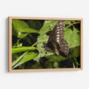 Minimundus08 - Jiván | Cuadro decorativo de Canvas Lab