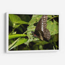 Minimundus08 - Jiván | Cuadro decorativo de Canvas Lab