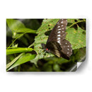 Minimundus08 - Jiván | Cuadro decorativo de Canvas Lab