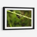 Minimundus09 - Jiván | Cuadro decorativo de Canvas Lab