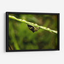 Minimundus09 - Jiván | Cuadro decorativo de Canvas Lab