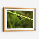 Minimundus09 - Jiván | Cuadro decorativo de Canvas Lab