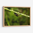 Minimundus09 - Jiván | Cuadro decorativo de Canvas Lab