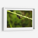 Minimundus09 - Jiván | Cuadro decorativo de Canvas Lab