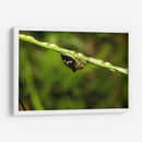 Minimundus09 - Jiván | Cuadro decorativo de Canvas Lab