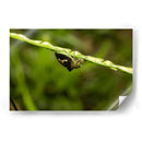 Minimundus09 - Jiván | Cuadro decorativo de Canvas Lab