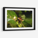 Minimundus10 - Jiván | Cuadro decorativo de Canvas Lab