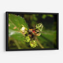 Minimundus10 - Jiván | Cuadro decorativo de Canvas Lab