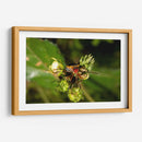 Minimundus10 - Jiván | Cuadro decorativo de Canvas Lab