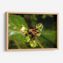 Minimundus10 - Jiván | Cuadro decorativo de Canvas Lab