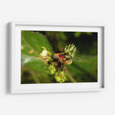 Minimundus10 - Jiván | Cuadro decorativo de Canvas Lab