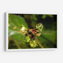 Minimundus10 - Jiván | Cuadro decorativo de Canvas Lab