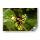 Minimundus10 - Jiván | Cuadro decorativo de Canvas Lab