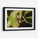 Minimundus11 - Jiván | Cuadro decorativo de Canvas Lab