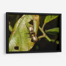 Minimundus11 - Jiván | Cuadro decorativo de Canvas Lab