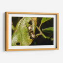 Minimundus11 - Jiván | Cuadro decorativo de Canvas Lab