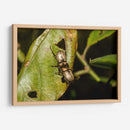 Minimundus11 - Jiván | Cuadro decorativo de Canvas Lab