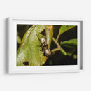 Minimundus11 - Jiván | Cuadro decorativo de Canvas Lab