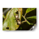 Minimundus11 - Jiván | Cuadro decorativo de Canvas Lab