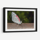 Minimundus12 - Jiván | Cuadro decorativo de Canvas Lab