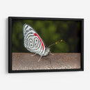 Minimundus12 - Jiván | Cuadro decorativo de Canvas Lab