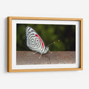 Minimundus12 - Jiván | Cuadro decorativo de Canvas Lab