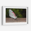 Minimundus12 - Jiván | Cuadro decorativo de Canvas Lab