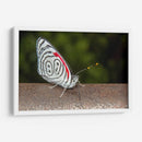 Minimundus12 - Jiván | Cuadro decorativo de Canvas Lab