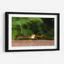 Minimundus13 - Jiván | Cuadro decorativo de Canvas Lab