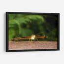 Minimundus13 - Jiván | Cuadro decorativo de Canvas Lab