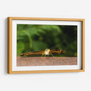 Minimundus13 - Jiván | Cuadro decorativo de Canvas Lab