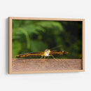 Minimundus13 - Jiván | Cuadro decorativo de Canvas Lab