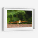 Minimundus13 - Jiván | Cuadro decorativo de Canvas Lab