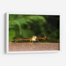 Minimundus13 - Jiván | Cuadro decorativo de Canvas Lab