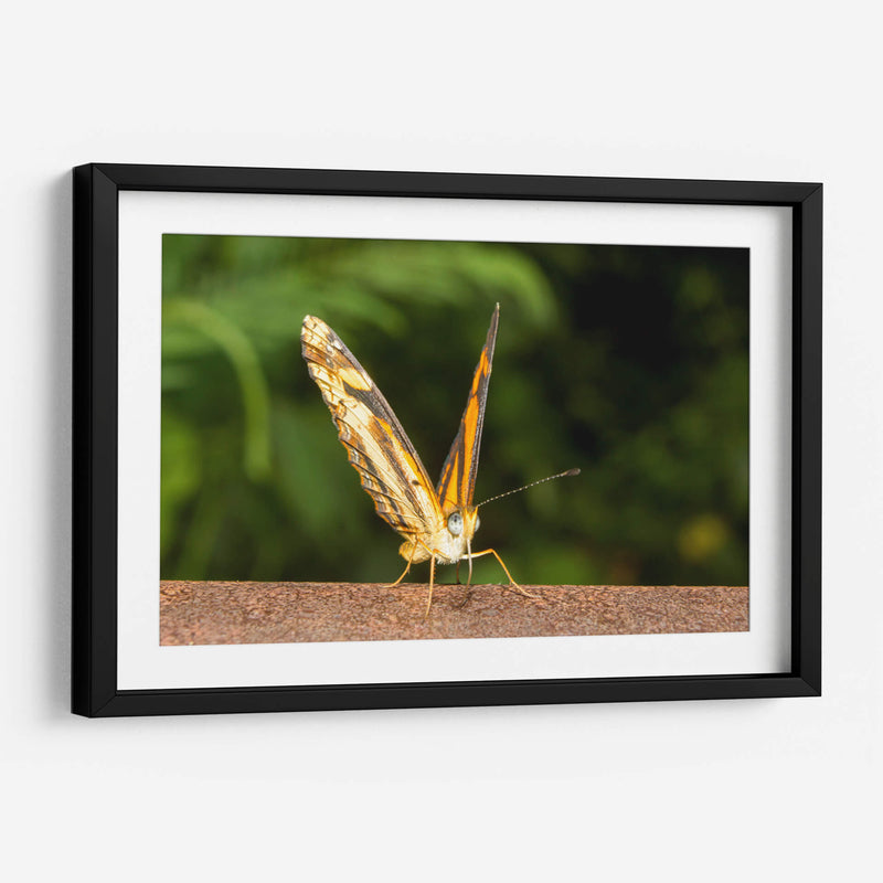 Minimundus14 - Jiván | Cuadro decorativo de Canvas Lab