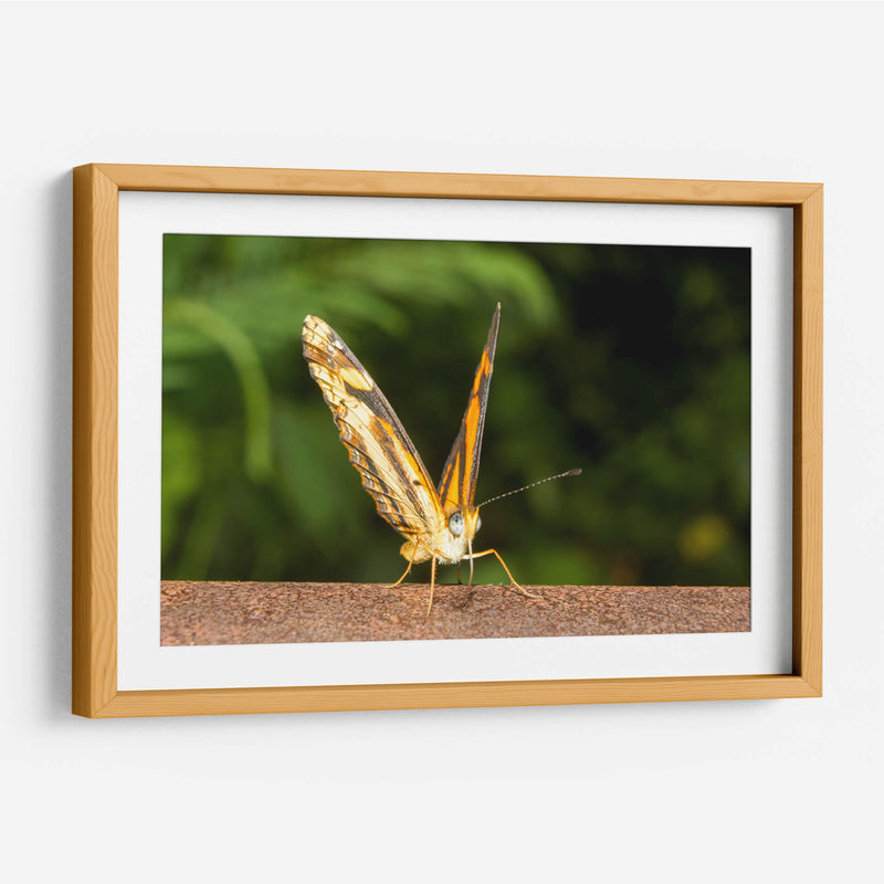 Minimundus14 - Jiván | Cuadro decorativo de Canvas Lab