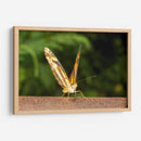 Minimundus14 - Jiván | Cuadro decorativo de Canvas Lab