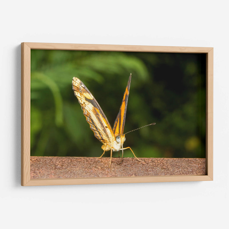 Minimundus14 - Jiván | Cuadro decorativo de Canvas Lab