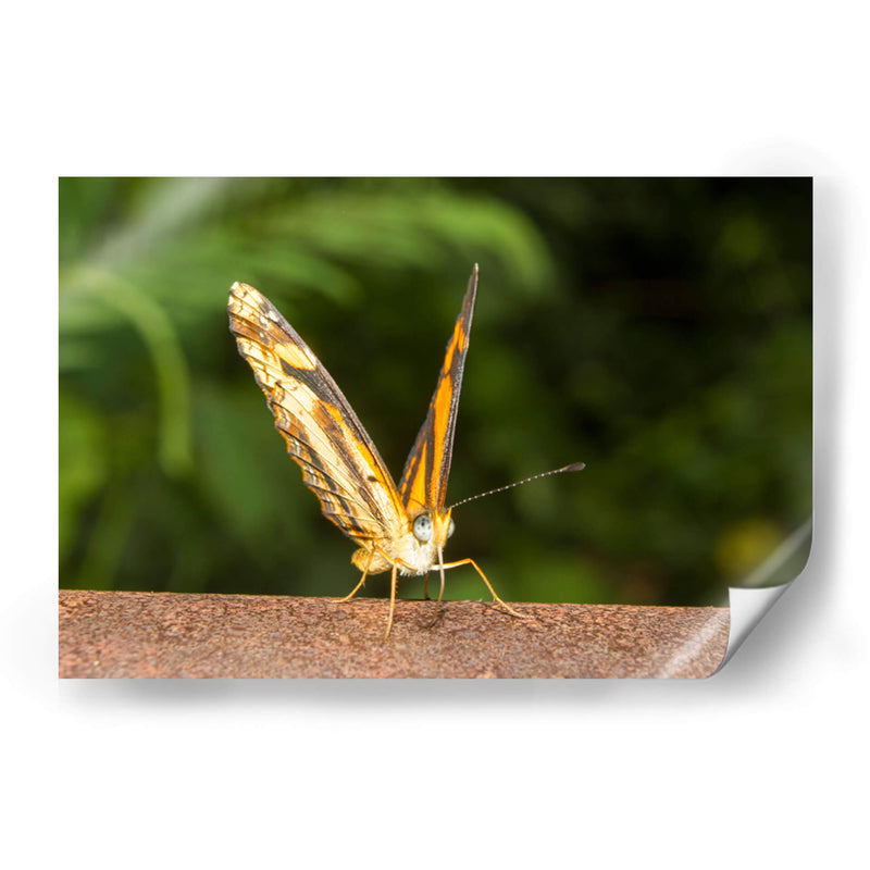 Minimundus14 - Jiván | Cuadro decorativo de Canvas Lab