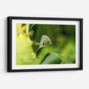 Minimundus15 - Jiván | Cuadro decorativo de Canvas Lab