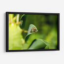 Minimundus15 - Jiván | Cuadro decorativo de Canvas Lab