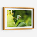 Minimundus15 - Jiván | Cuadro decorativo de Canvas Lab