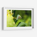 Minimundus15 - Jiván | Cuadro decorativo de Canvas Lab