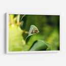 Minimundus15 - Jiván | Cuadro decorativo de Canvas Lab