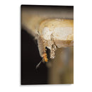 Minimundus16 - Jiván | Cuadro decorativo de Canvas Lab